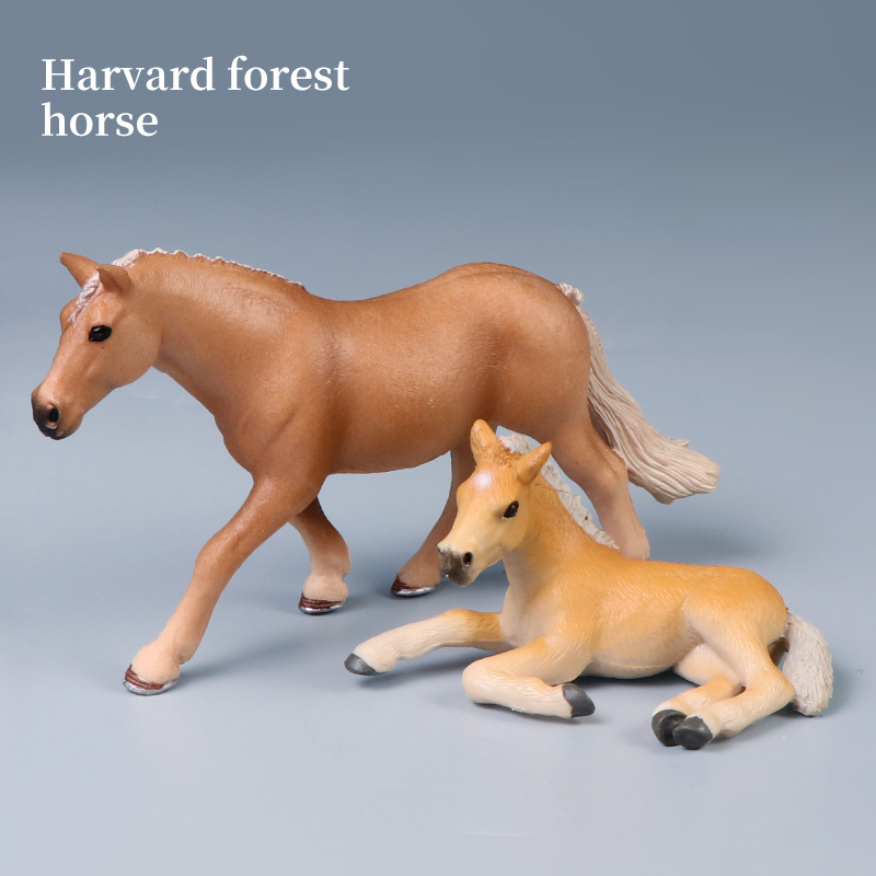 Winged Steed Model Action Figu - Model Kit Brand incelemesi ve fiyatı