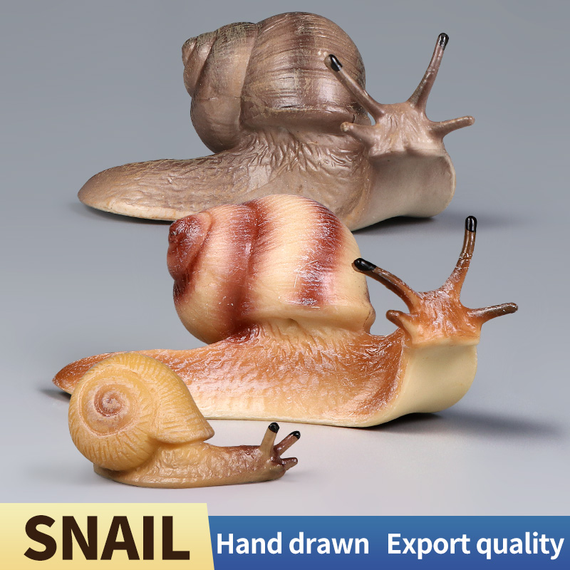 Educational Snail Action Figur - Model Kit Brand incelemesi ve fiyatı