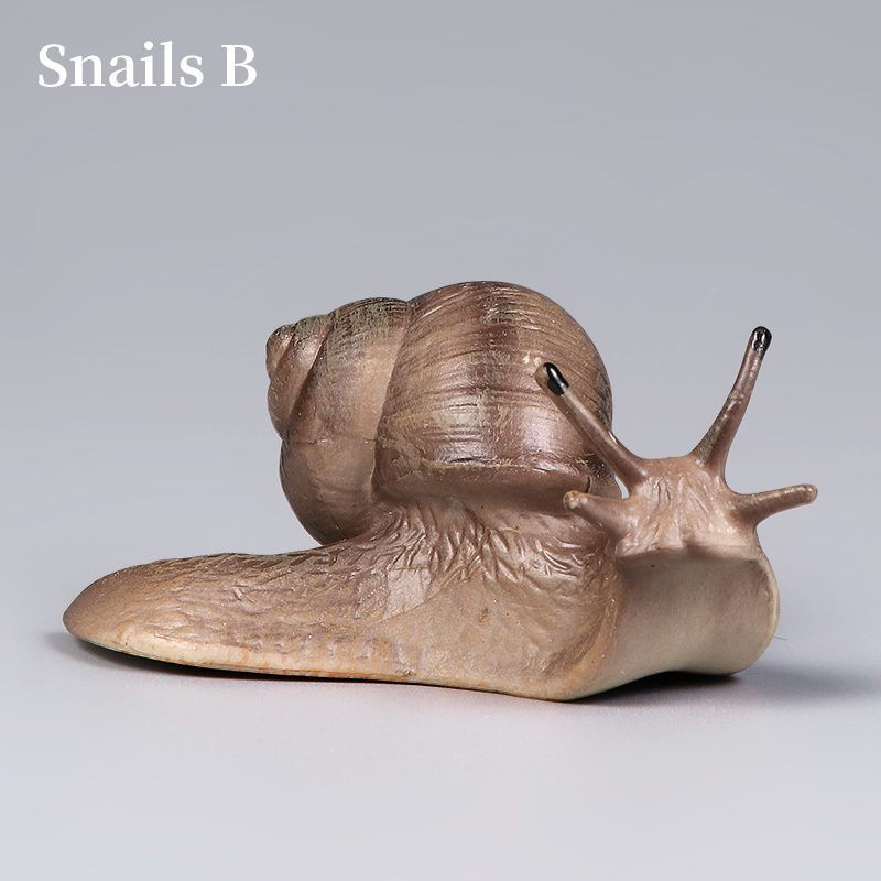 Educational Snail Action Figur - Model Kit Brand incelemesi ve fiyatı
