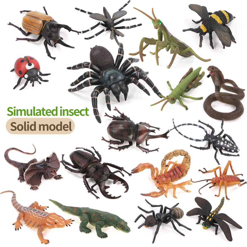 Educational Simulation Insect  - Model Kit Brand incelemesi ve fiyatı