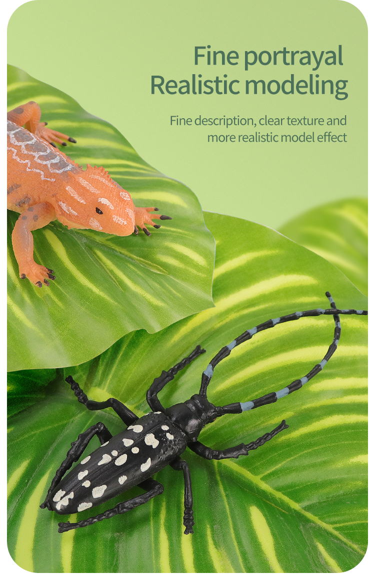Educational Simulation Insect  - Model Kit Brand incelemesi ve fiyatı